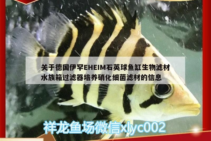 關于德國伊罕EHEIM石英球魚缸生物濾材水族箱過濾器培養硝化細菌濾材的信息 關于德國伊罕EHEIM石英球魚缸生物濾材水族箱過濾器培養硝化細菌濾材的信息 伊罕水族