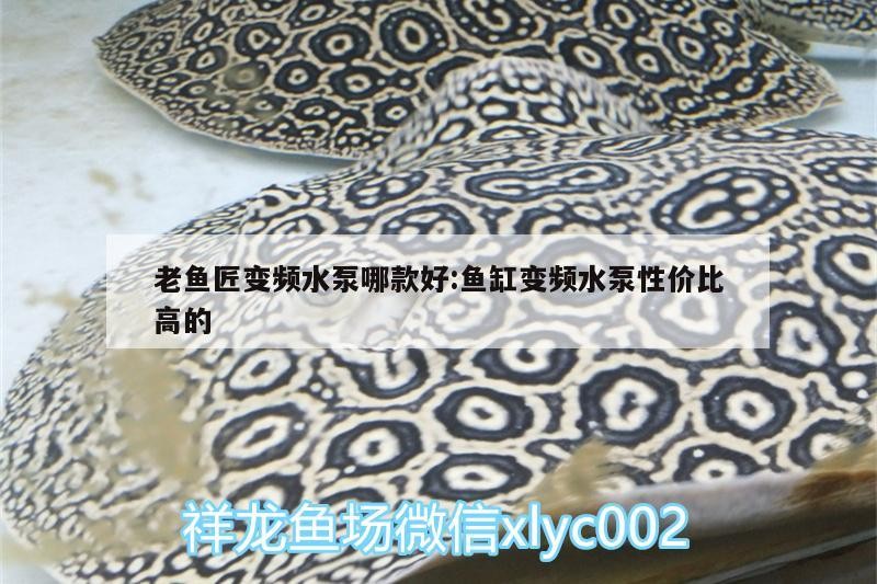 老魚匠變頻水泵哪款好:魚缸變頻水泵性價比高的 老魚匠變頻水泵哪款好:魚缸變頻水泵性價比高的 老魚匠