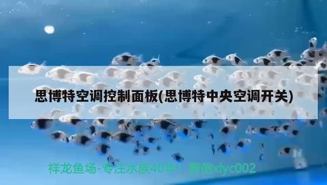 思博特空調控制面板(思博特中央空調開關) 思博特空調控制面板(思博特中央空調開關) 博特水族