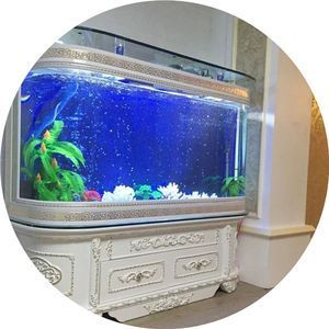 1.2米魚缸多長時間換一次水：1.2米魚缸多久換一次水 1.2米魚缸多長時間換一次水：1.2米魚缸多久換一次水 魚缸百科 第2張