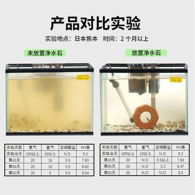 釣鯽魚最厲害三個藥：誘魚最快的西藥