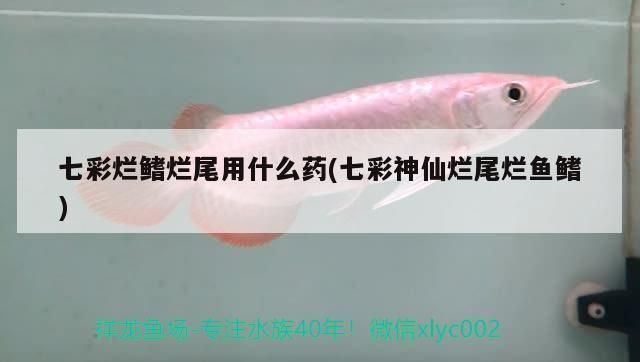 蒙眼病治療需要根據(jù)具體病因選擇藥物還需根據(jù)具體病因選擇，蒙眼病一般多久能治好