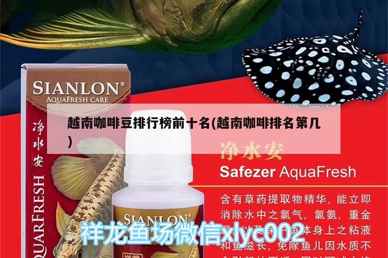 越南咖啡豆排行榜前十名(越南咖啡排名第幾) 越南咖啡豆排行榜前十名(越南咖啡排名第幾) 馬來西亞咖啡