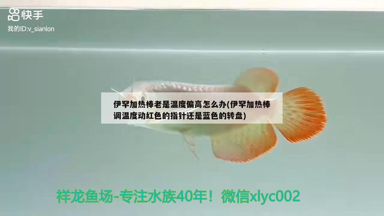 伊罕加熱棒老是溫度偏高怎么辦(伊罕加熱棒調溫度動紅色的指針還是藍色的轉盤)