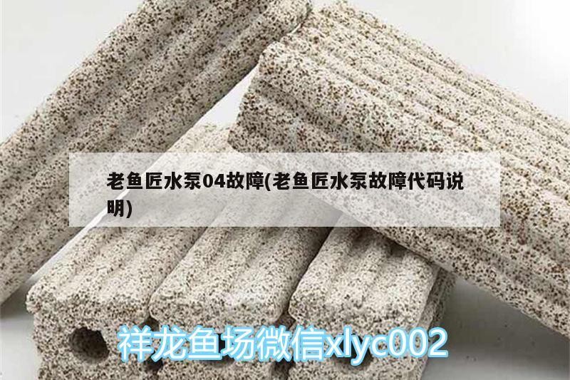 老魚匠水泵04故障(老魚匠水泵故障代碼說明)