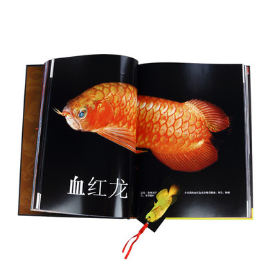 地龍是什么仙家的化身：地龍是什么仙家的化身圖片