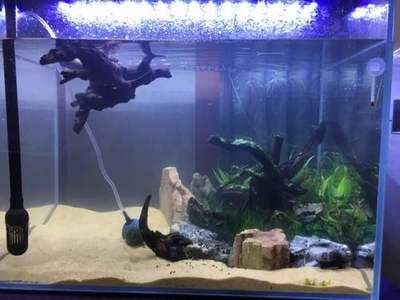 502膠能粘魚缸嗎：502膠水可以粘魚缸嗎？