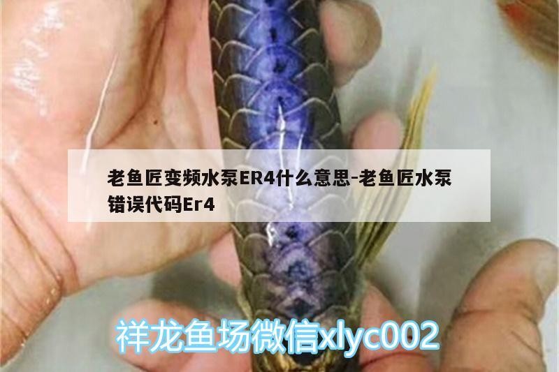 老魚匠變頻水泵ER4什么意思:老魚匠水泵錯誤代碼Er4