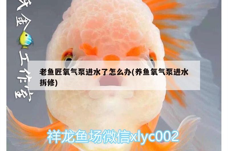 老魚匠氧氣泵進水了怎么辦(養魚氧氣泵進水拆修)