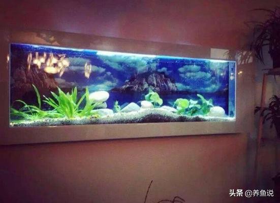 戴玉豬龍有什么講究：戴玉豬龍有什么講究和忌諱
