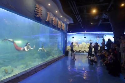 淮北水族館vs祥龍魚場（淮北市相山區龍鱗閣水族館和淮北市相山區居龍坊水族館）