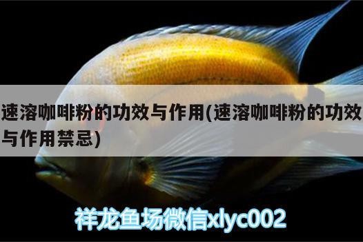 速溶咖啡粉的功效與作用(速溶咖啡粉的功效與作用禁忌)