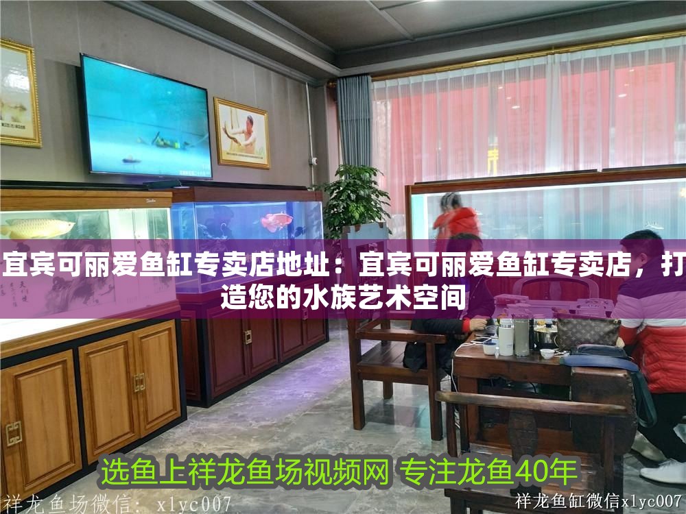 宜賓可麗愛魚缸專賣店地址：宜賓可麗愛魚缸專賣店，打造您的水族藝術空間 宜賓可麗愛魚缸專賣店地址：宜賓可麗愛魚缸專賣店，打造您的水族藝術空間 iwish愛唯希品牌魚缸 第1張