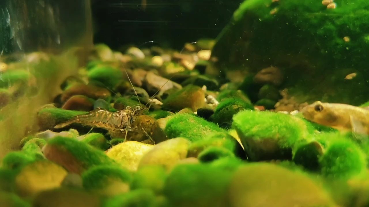 假期結束 假期結束 龍魚論壇