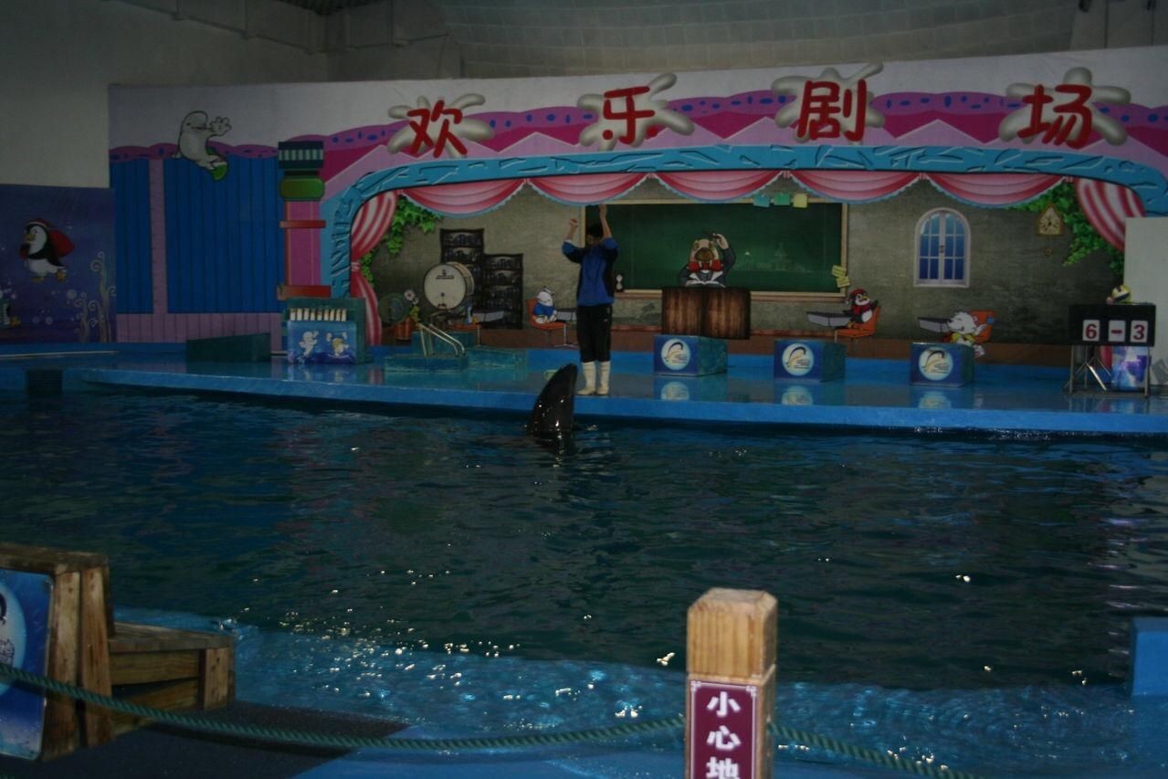 濮陽水族館vs祥龍魚場（探討濮陽水族館與祥龍魚場之間的差異，我們需要明確基本信息和特點）
