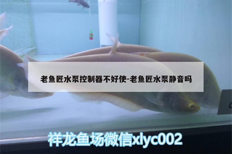 老魚匠水泵控制器不好使:老魚匠水泵靜音嗎