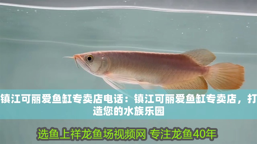 鎮(zhèn)江可麗愛魚缸專賣店電話:鎮(zhèn)江可麗愛魚缸專賣店,打造您的水族樂園 iwish愛唯希品牌魚缸 第1張 鎮(zhèn)江可麗愛魚缸專賣店電話:鎮(zhèn)江可麗愛魚缸專賣店,打造您的水族樂園 鎮(zhèn)江可麗愛魚缸專賣店電話:鎮(zhèn)江可麗愛魚缸專賣店,打造您的水族樂園 iwish愛唯希品牌魚缸 第1張