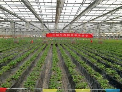 鎮(zhèn)江可麗愛魚缸專賣店電話:鎮(zhèn)江可麗愛魚缸專賣店,打造您的水族樂園 iwish愛唯希品牌魚缸 第3張 鎮(zhèn)江可麗愛魚缸專賣店電話:鎮(zhèn)江可麗愛魚缸專賣店,打造您的水族樂園 鎮(zhèn)江可麗愛魚缸專賣店電話:鎮(zhèn)江可麗愛魚缸專賣店,打造您的水族樂園 iwish愛唯希品牌魚缸 第3張