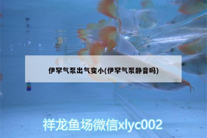 魚缸 伊罕氣泵出氣變小(伊罕氣泵靜音嗎) 伊罕水族 伊罕氣泵出氣變小(伊罕氣泵靜音嗎) 伊罕氣泵出氣變小(伊罕氣泵靜音嗎) 伊罕水族