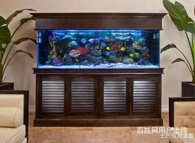 大型魚缸怎么清洗換水的：大型魚缸清洗換水方法