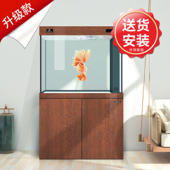魚缸有棉絮狀物體