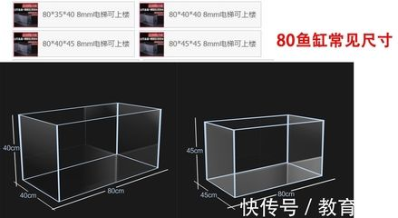 60魚缸上濾槽設計圖尺寸：60魚缸上濾槽設計圖尺寸計算方法 60魚缸上濾槽設計圖尺寸：60魚缸上濾槽設計圖尺寸計算方法 魚缸百科 第1張