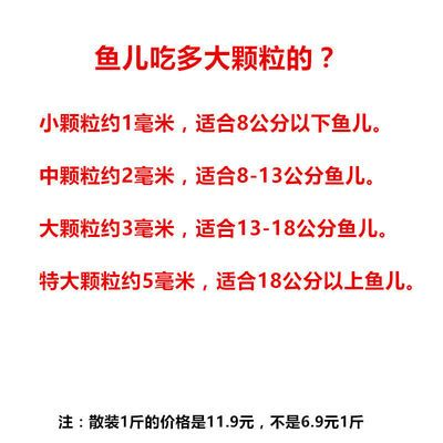 8公分的虎魚吃什么飼料：8公分的虎魚應該喂食哪些飼料