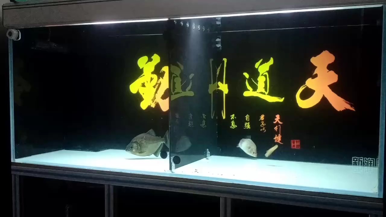開飯了[keai]