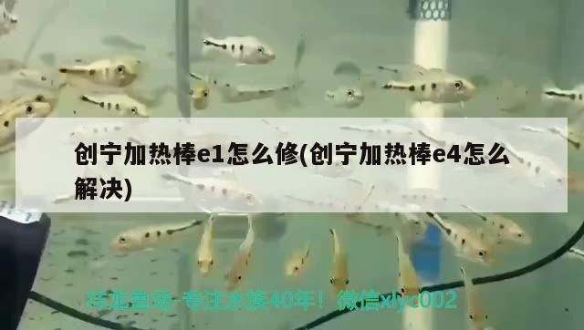 創寧加熱棒e1怎么修(創寧加熱棒e4怎么解決)