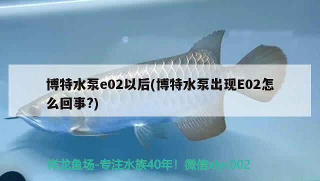 博特水泵e02以后(博特水泵出現E02怎么回事?)