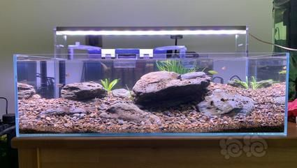 50cm魚缸造景圖片:50cm魚缸造景圖片及相關信息匯總:水草造景制作方法 魚缸百科 第1張 50cm魚缸造景圖片:50cm魚缸造景圖片及相關信息匯總:水草造景制作方法 50cm魚缸造景圖片:50cm魚缸造景圖片及相關信息匯總:水草造景制作方法 魚缸百科 第1張