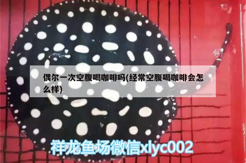 龍魚干蝦有營養(yǎng)嗎 偶爾一次空腹喝咖啡嗎(經(jīng)常空腹喝咖啡會怎么樣) 馬來西亞咖啡 偶爾一次空腹喝咖啡嗎(經(jīng)常空腹喝咖啡會怎么樣) 偶爾一次空腹喝咖啡嗎(經(jīng)常空腹喝咖啡會怎么樣) 馬來西亞咖啡