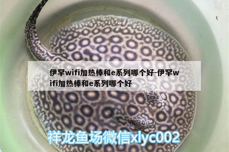 給大魚缸換水的作文:體驗給大魚缸換水的樂趣:體驗給大魚缸換水:給大魚缸換水的作文 伊罕wifi加熱棒和e系列哪個好:伊罕wifi加熱棒和e系列哪個好 伊罕水族 伊罕wifi加熱棒和e系列哪個好:伊罕wifi加熱棒和e系列哪個好 伊罕wifi加熱棒和e系列哪個好:伊罕wifi加熱棒和e系列哪個好 伊罕水族