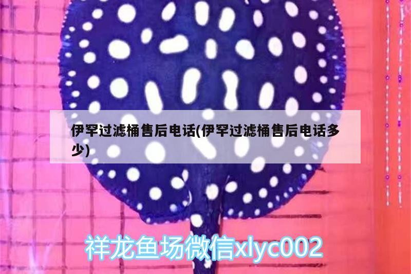 伊罕過濾桶售后電話(伊罕過濾桶售后電話多少)