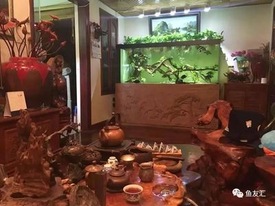 養魟魚能放沉木嗎：養魟魚是否可以放沉木主要取決于以下幾個因素 養魟魚能放沉木嗎：養魟魚是否可以放沉木主要取決于以下幾個因素 魟魚百科 第1張