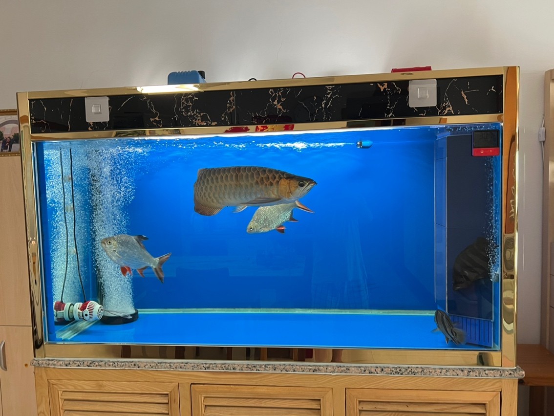 2024年9月17日中秋節[deyi][kafei][kafei][kafei]