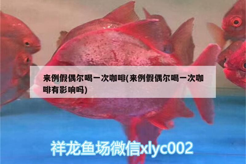 來例假偶爾喝一次咖啡(來例假偶爾喝一次咖啡有影響嗎)
