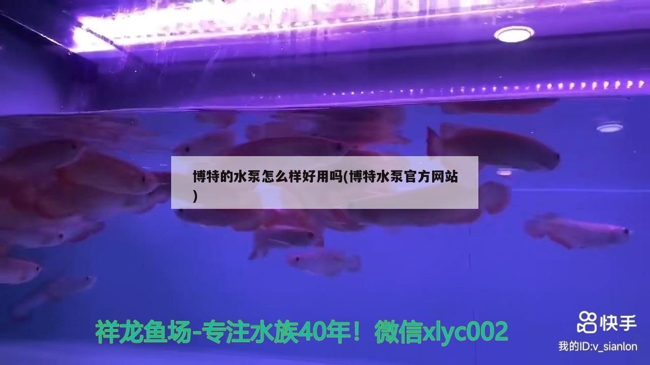博特的水泵怎么樣好用嗎(博特水泵官方網站)