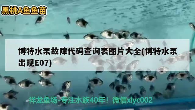 博特水泵故障代碼查詢表圖片大全(博特水泵出現E07)