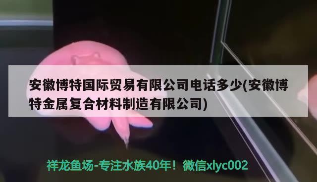 安徽博特國際貿易有限公司電話多少(安徽博特金屬復合材料制造有限公司)