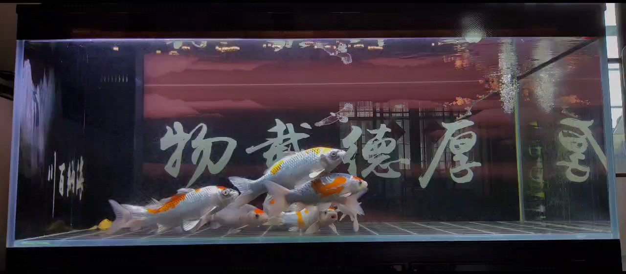 中秋