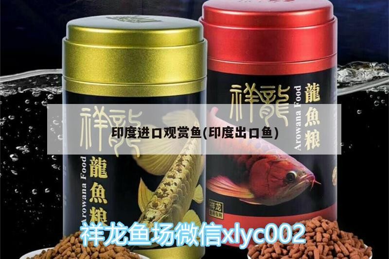 印度進口觀賞魚(印度出口魚)