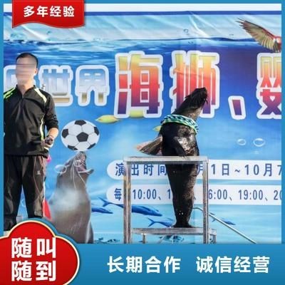 呼和浩特龍魚vs祥龍魚場(chǎng)（呼和浩特龍魚祥龍魚場(chǎng)在養(yǎng)殖環(huán)境、龍魚品種、價(jià)格策略評(píng)價(jià)）