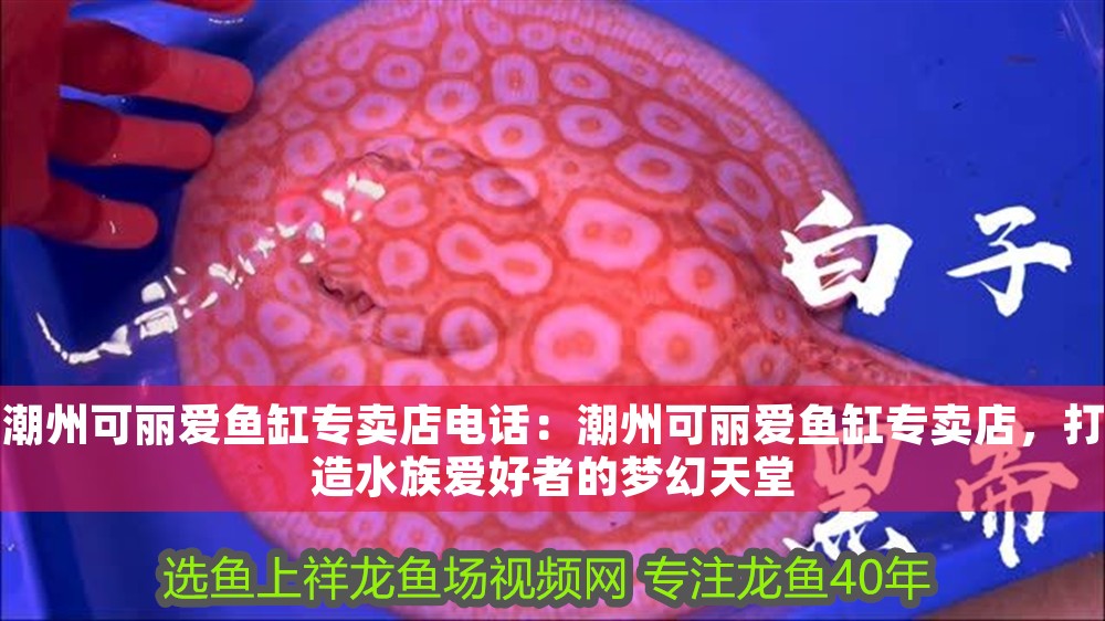 潮州可麗愛魚缸專賣店電話：潮州可麗愛魚缸專賣店，打造水族愛好者的夢幻天堂 潮州可麗愛魚缸專賣店電話：潮州可麗愛魚缸專賣店，打造水族愛好者的夢幻天堂 iwish愛唯希品牌魚缸 第1張