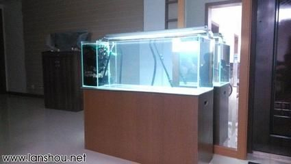 1米2魚(yú)缸尺寸：1米2魚(yú)缸選擇和設(shè)計(jì)魚(yú)缸時(shí)需要注意以下幾點(diǎn) 1米2魚(yú)缸尺寸：1米2魚(yú)缸選擇和設(shè)計(jì)魚(yú)缸時(shí)需要注意以下幾點(diǎn) 魚(yú)缸百科 第3張