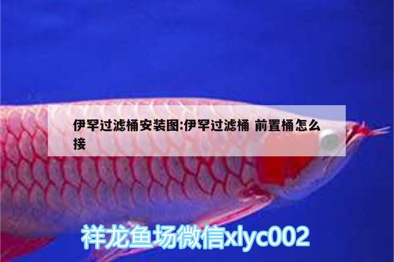 伊罕過濾桶安裝圖:伊罕過濾桶前置桶怎么接