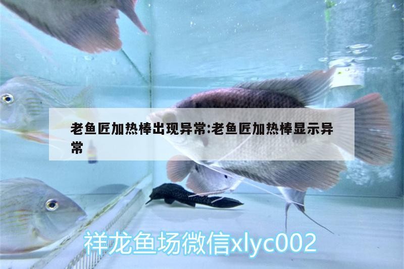老魚匠加熱棒出現(xiàn)異常:老魚匠加熱棒顯示異常