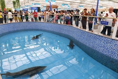 長春水族館vs祥龍魚場（長春水族館和祥龍魚場）