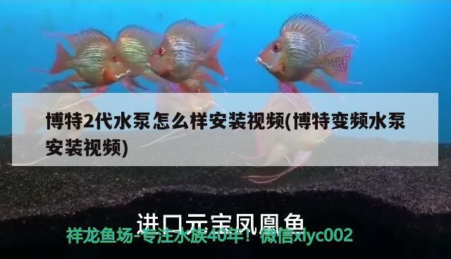 博特2代水泵怎么樣安裝視頻(博特變頻水泵安裝視頻)