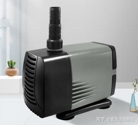 魚缸水泵酷魚博特老魚將牌子哪個好：酷魚博特老魚將牌子哪個好